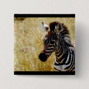 Zebra Foal wildlife baby 15 Cm Square Badge
