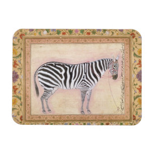 Zebra, from the 'Minto Album', 1621 (gouache on pa Magnet