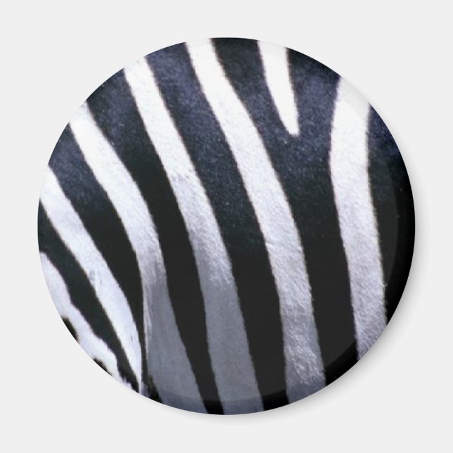 Zebra Fur Magnet (Front)