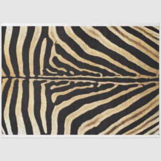 Zebra Furniture Decoupage Paper