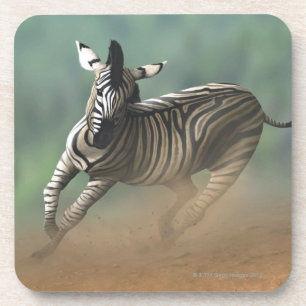 Zebra galloping over the desert landscape. coaster