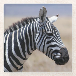 Zebra Glass Coaster