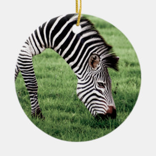 Zebra Grazing Ceramic Tree Decoration