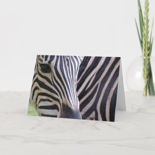 Zebra Greeting Card (Front)