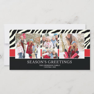 ZEBRA GREETINGS   HOLIDAY PHOTO CARD