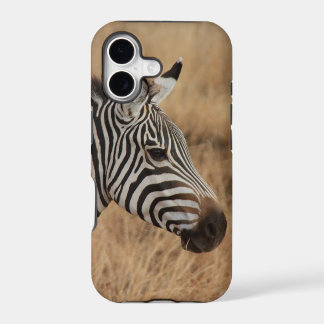 Zebra Head