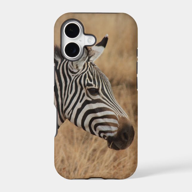 Zebra Head (Back)