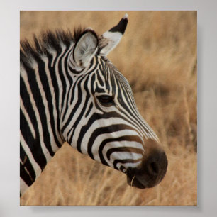 Zebra Head Poster