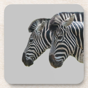 Zebra Heads  Coaster