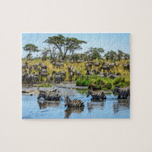 Zebra Herd in the Wild Jigsaw Puzzle
