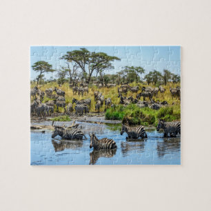 Zebra Herd in the Wild Jigsaw Puzzle