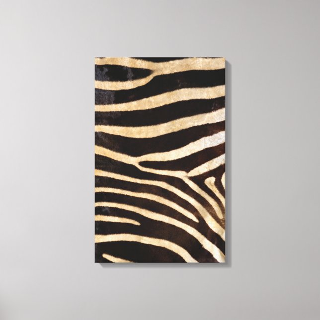 Zebra Hide 2 Canvas Print (Front)