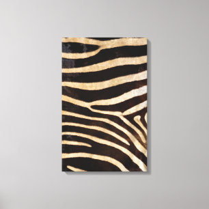 Zebra Hide 2 Canvas Print
