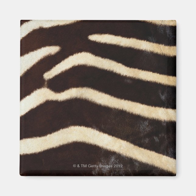 Zebra Hide Magnet (Front)
