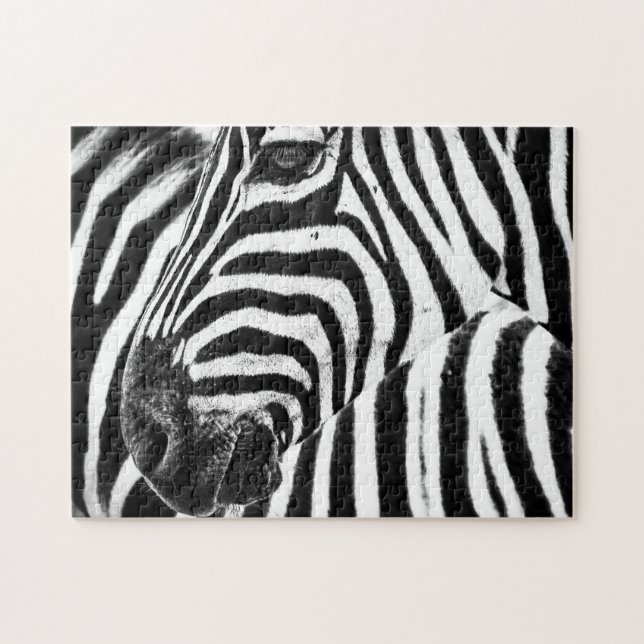Zebra in black and white, Jigsaw Puzzle (Horizontal)