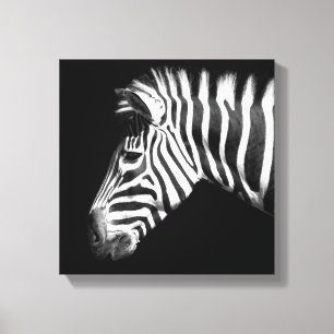 Zebra in Black and White Photo Canvas Print