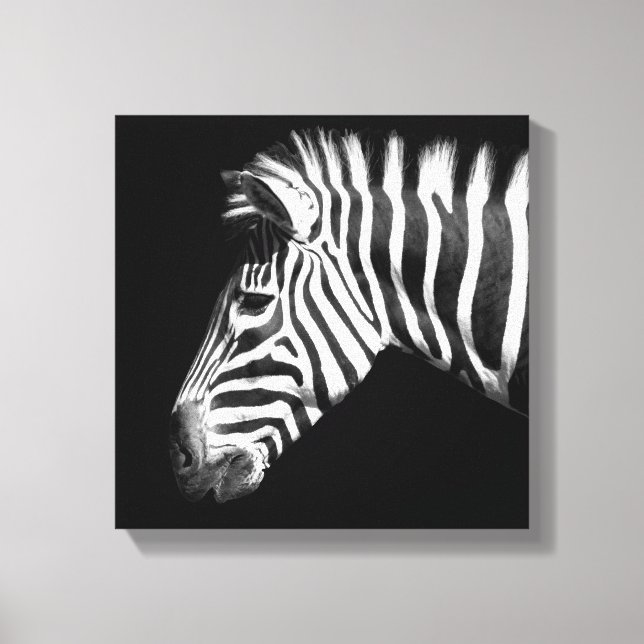 Zebra in Black and White Photo Canvas Print (Front)