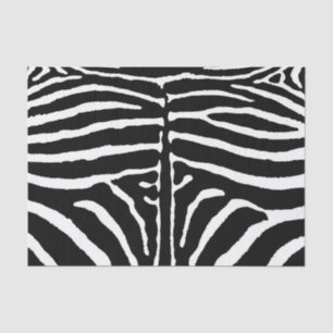Zebra in Black and White Tissue Paper