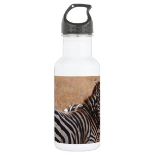 Zebra in Kenya 532 Ml Water Bottle