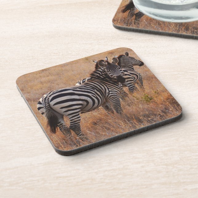 Zebra in Kenya Coaster (Left Side)