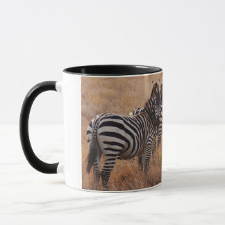 Zebra in Kenya Mug