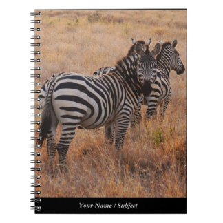 Zebra in Kenya Notebook
