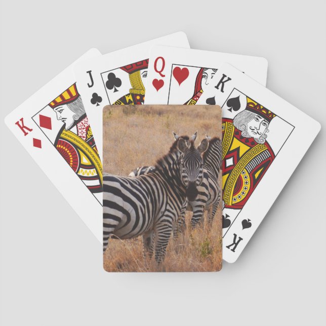 Zebra in Kenya Playing Cards (Back)