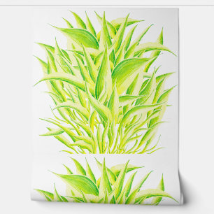 Zebra Iris on a Wallpaper