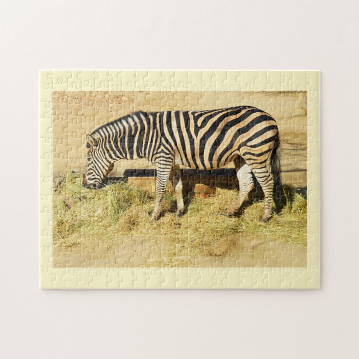 Zebra Jigsaw Puzzle Zazzle.co.uk