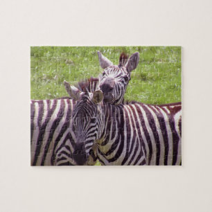 Zebra Jigsaw Puzzle