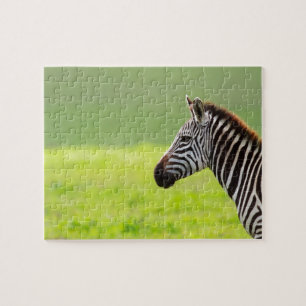 Zebra Jigsaw Puzzle