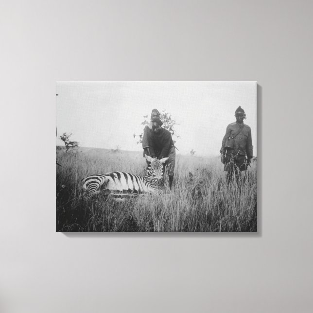 Zebra Killed by Natives in Africa Photograph Canvas Print (Front)