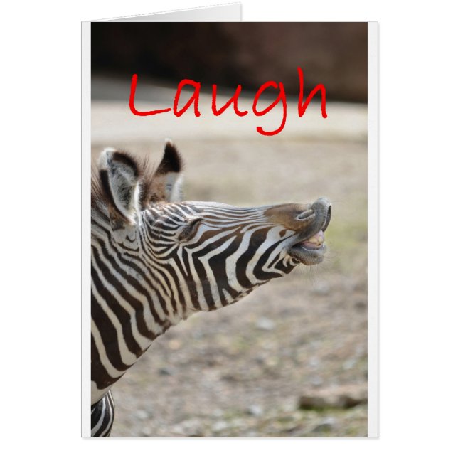 zebra laugh (Front)
