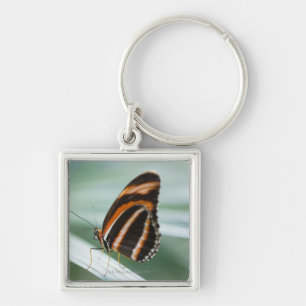 Zebra Long Wing Butterfly Key Ring