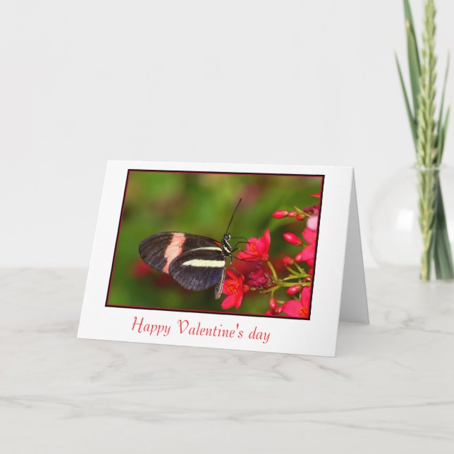 Zebra Long-wing valentine's day card (Front)