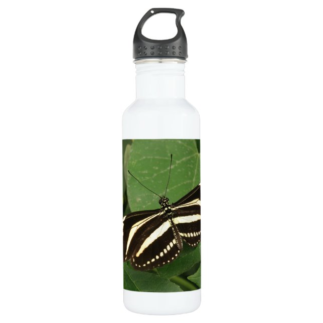 Zebra Longwing Butterfly 710 Ml Water Bottle (Front)