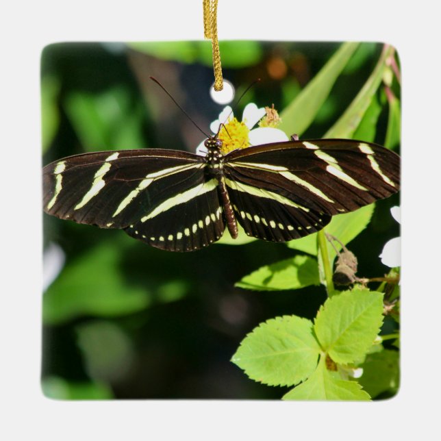 Zebra Longwing Butterfly Ceramic Ornament (Front)