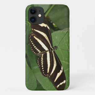 Zebra Longwing Butterfly iPhone Case