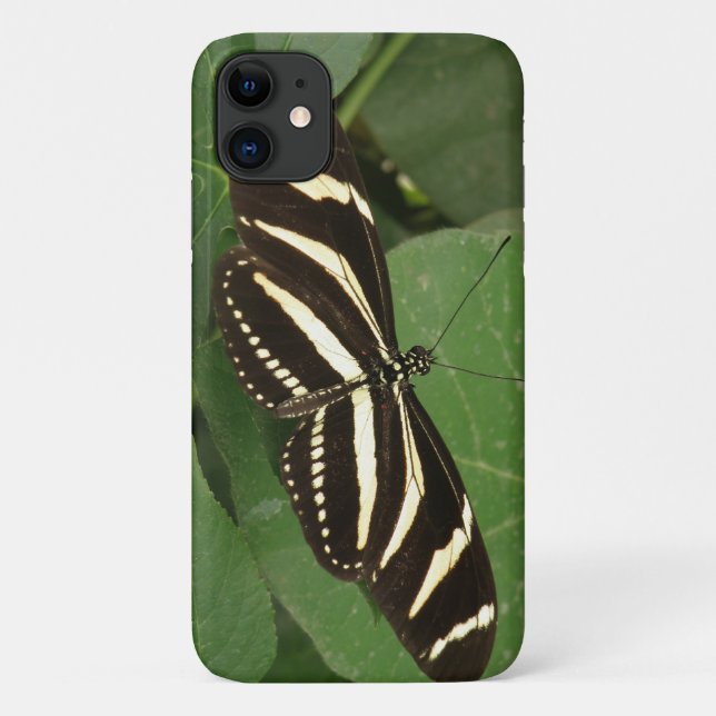 Zebra Longwing Butterfly iPhone Case (Back)