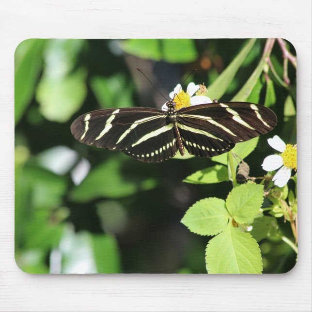 Zebra Longwing Butterfly Mouse Mat (Front)