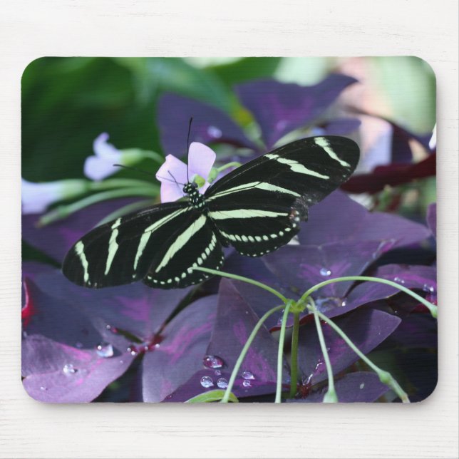 Zebra Longwing Butterfly Mouse Mat (Front)
