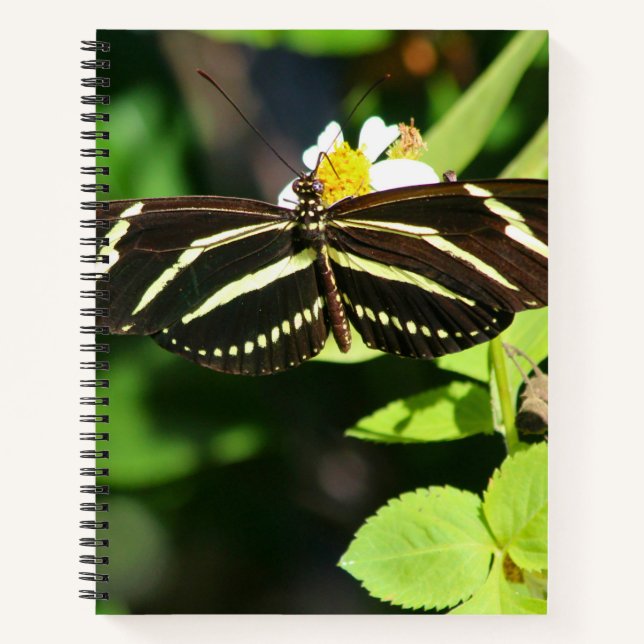 Zebra Longwing Butterfly Spiral Notebook (Front)