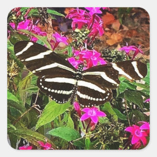 Zebra Longwing Butterfly Square Sticker