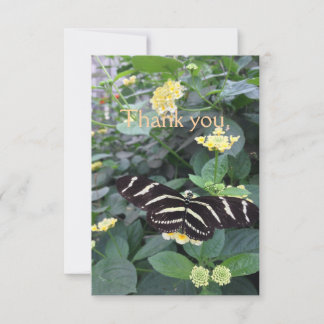 Zebra Longwing Thank You Card