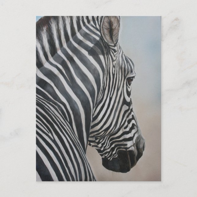 Zebra Look Wildlife Art Postcard (Front)