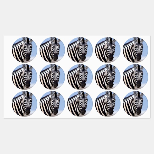 Zebra looking at you (Sheet)