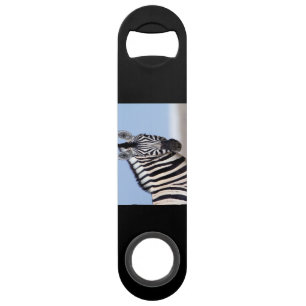 Zebra looking at you