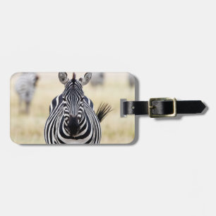 Zebra looking at you luggage tag