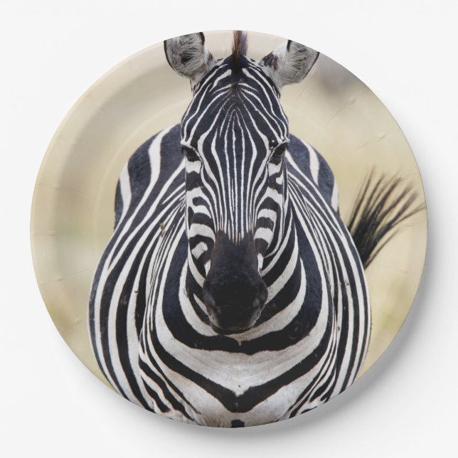 Zebra looking at you paper plate (Front)