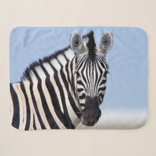 Zebra looking at you with blue sky photo sherpa blanket